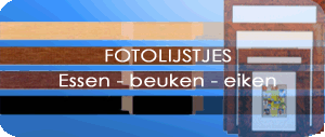 Fotolijstjes in alle soorten en maten